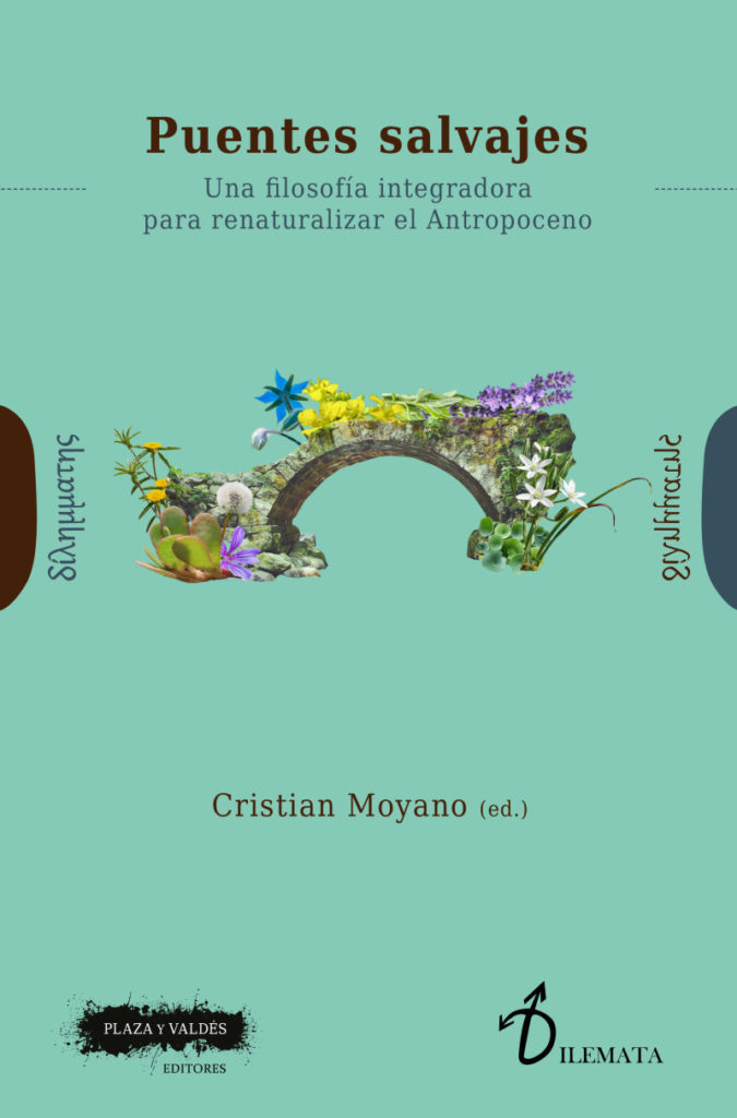 Puentes Salvajes. Cristian Moyano. Plaza y Valdés